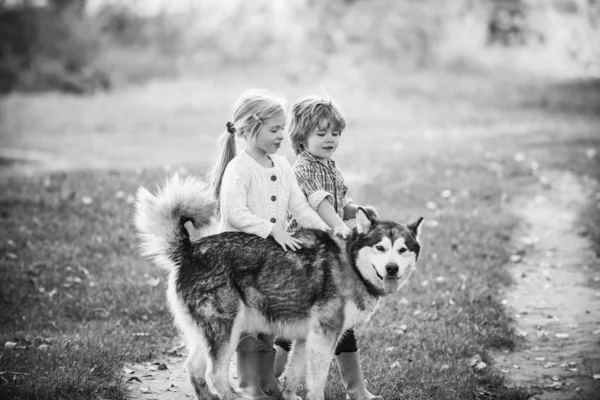 Αγόρι και κορίτσι, αδελφός και αδελφή, ταξιδεύουν μακριά από το σπίτι. Κάμπινγκ τουρισμού και διακοπών έννοια. Παιδιά με σκύλο να φεύγει.. — Φωτογραφία Αρχείου