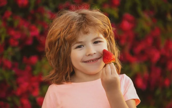 Cibo sano per bambini Ritratto divertente per bambini. Carino bambino mangiare una fragola. — Foto Stock