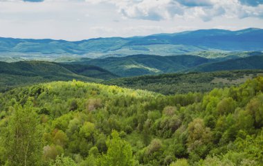 Transcarpathia manzarası. Manzaralı güzellik. Dağ manzarası. Otlak arazisi, kırsal alan.