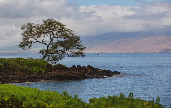 Peyzaj sükunet plajı. Hawaii arka planı, tropik Hawaii cenneti.