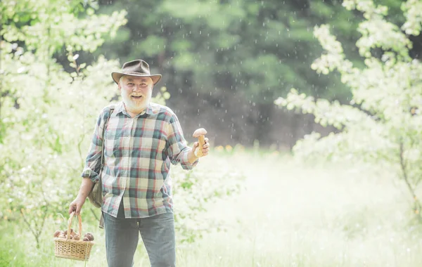 Nagyapa egy kosár gombával és egy meglepett arckifejezéssel. Boldog nagyapát!. — Stock Fotó