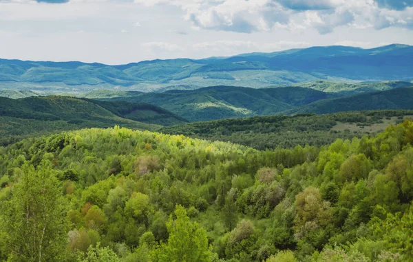 Transcarpathia manzarası. Manzaralı güzellik. Dağ manzarası. Otlak arazisi, kırsal alan.