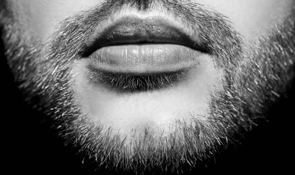 Férfi ajkak. Jóképű férfi szája bezárul. — Stock Fotó