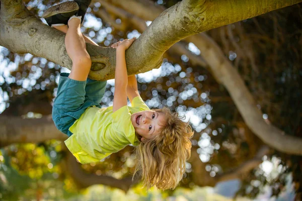 Young child blond boy climbing tree. Happy child playing in the garden climbing on the tree. — Stock Photo, Image