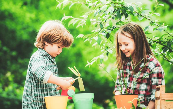 Kids planting flowers in pot. Two Happy children farmers working with spud on spring field. — Stock Photo, Image