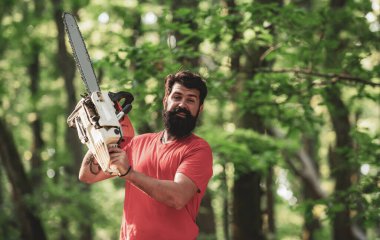 Tarım ve ormancılık teması. Orman arka planında elektrikli testere olan oduncu. Oduncu gibi poz veren şık genç bir adam..