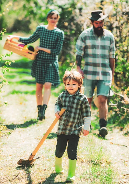 Family planting. Son helper. Family walking in agricultural field. Son help Family working on organic farm in spring. Portrait of a young happy family in yard during spring season. — Stock Photo, Image