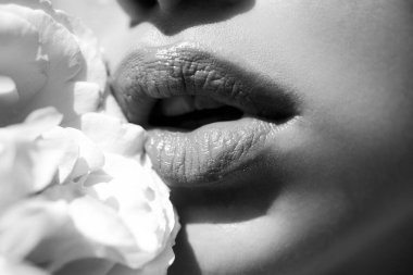 Dudakları rujla yakın plan. Güllü şehvetli kadın dudakları.