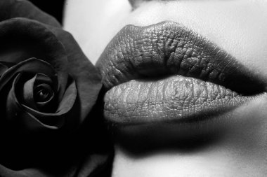 Dudakları rujla yakın plan. Güzel Kırmızı Dudaklar Makyaj Bölümü. Güllü güzel kadın dudakları.
