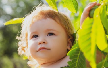 Yeşil yapraklı şirin bir erkek bebeğin portresi. Kafkas çocuk yüzünü kapatın. Doğa parkındaki komik çocuğun yakın plan başı..