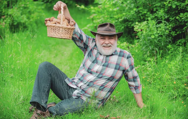 Szczęśliwy dziadek z grzybami w Busket grzyb myśliwski. Zbieranie dzikich grzybów. Polowanie na grzyby. — Zdjęcie stockowe