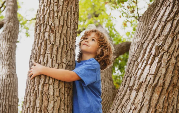 Portrait of a cute child climbing in a tree in a park. — Stock Photo, Image
