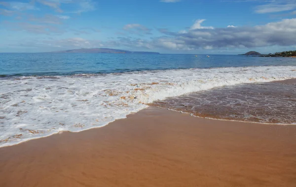 Plaj geçmişi. Kumlu sahilde sakin, güzel bir okyanus dalgası. Tropikal deniz manzarası.