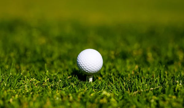 Golf topu yeşil çim arka planda. Golf topunu çimenlere yumuşak bir şekilde yaklaştır. Kopya alanı olan spor golf arkaplanı.