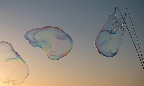 De grosses bulles de savon au coucher du soleil. Bulles de savon dans le parc d'été. — Photo