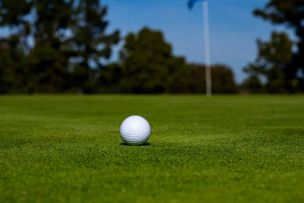 Golfbal in golfgroene baan. Golfbal op het gazon. — Stockfoto