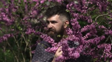 Çiçek açan çiçekli bahar sakallı adam, açık hava portresi. Leylak kokan adam..