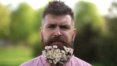 Sivrisinek. Bahar çiçekleri parkında sakallı yakışıklı bir adam. Erkek yay yüzünü kapatın..