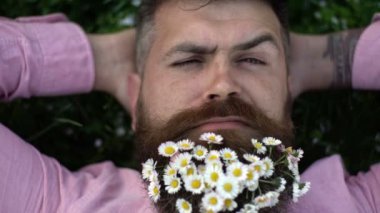 Çiçekli sakal. Çiçeklerden sakallı bir adamın portresi. Sakallı papatya çayıyla çimlerde yatan hippi. Sakallı şık adam..