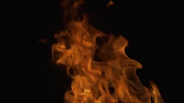 Burning concept. Fire flame texture. Blaze flames overlay background. Fire effect on black. — Stok video