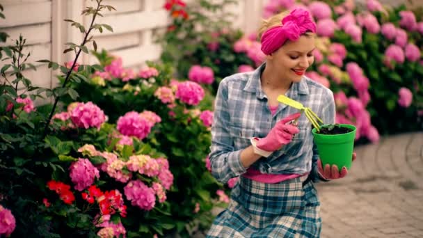 Mujer en el patio trasero cere hortensias flores. Precioso jardinero femenino plantando flores en el jardín a la hora de verano. Feliz joven jardinero seleccionando plantas de hortensia. — Vídeos de Stock