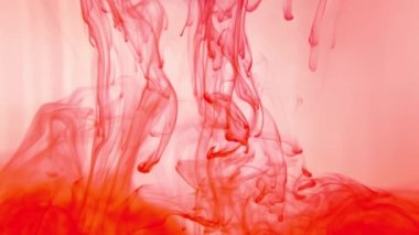 Kanlı kırmızı renk, suda kan. Renk boyası sıçraması. Sprey boya leke elementi. Renkli mürekkep lekeleri. Suluboya lekeleri. Sıçrama boyası karıştırma.