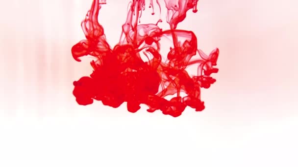 Red blood in water. Paint color swirls in water. Color liquid in water movement. Splash paint mixing. — Video