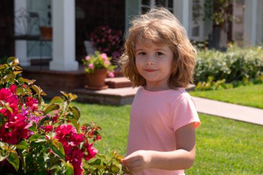 Küçük çocuk yeşil arka bahçedeki çiçekleri kokluyor. Yaz otlağındaki sevimli çocuk ve çiçek kokusu. Çocuklarla güzel bir bahar bahçesinde yaz eğlencesi..