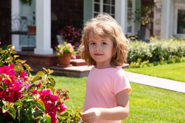 Uzun saçlı, çiçek kokan güzel sarışın çocuk. Bahar çocuğu suratı. Komik çocuk suratı. Çiçekli mutlu sarı saçlı çocuk. Çocuk bahar tarlasında hayal kuruyor ve gülümsüyor.