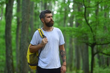 Güzel ormanda sırt çantasıyla yürüyüş yapan bir yürüyüşçü. Kırsalda yürüyüş yapan bir adam..