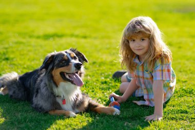 Blonde boy playing with dog on the lawn in the park. Cute dog. His pet attentively looks at the owner. The doggy. Best friends child and puppy dog rest and have fun on vacation.