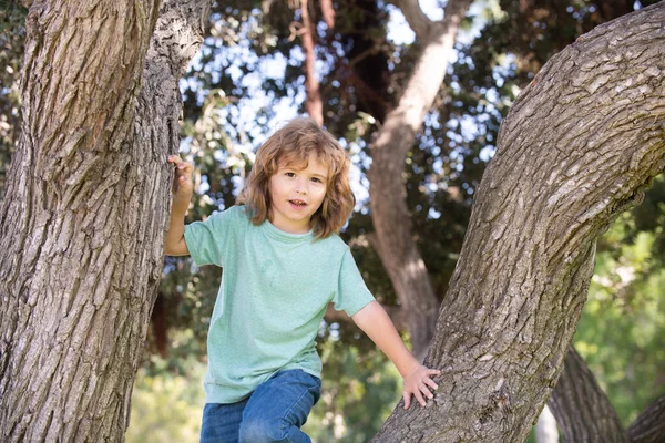 Young child blond boy climbing tree. Happy child playing in the garden climbing on the tree. Children love nature on countryside. — Stock Fotó