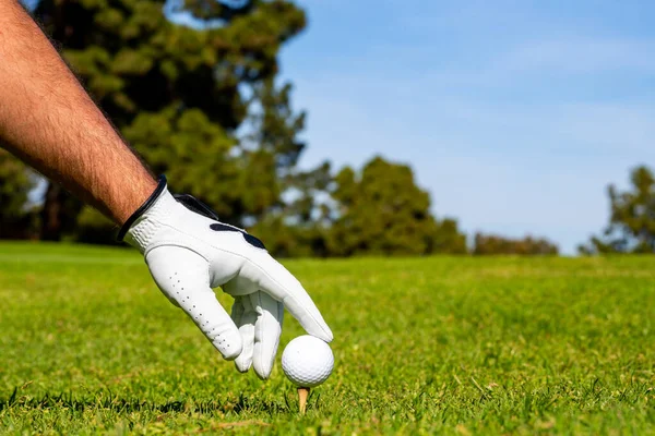 Golfista colocando bola de golfe no golfe verde. Golfista homem com luva de golfe. — Fotografia de Stock