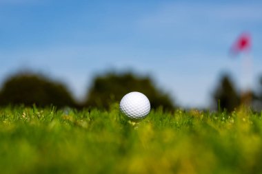 Golf sahasında yeşil arka planda golf topu. Akşam golf sahasında golf topu ve Tayland 'da güneş ışığı..