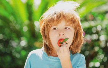 Çocuklar taze organik çilek topluyor. Mutlu küçük çocuk çilek yiyor..