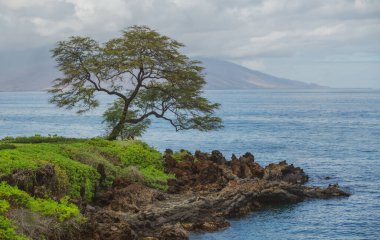 Tayland 'daki Idyllic Sahili. Tropikal mavi deniz ve kumsal arka planı.