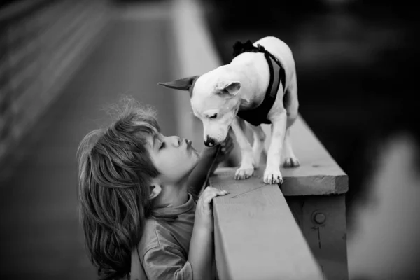 Lindo niño besando cachorro. cachorros dod jugando. — Foto de Stock