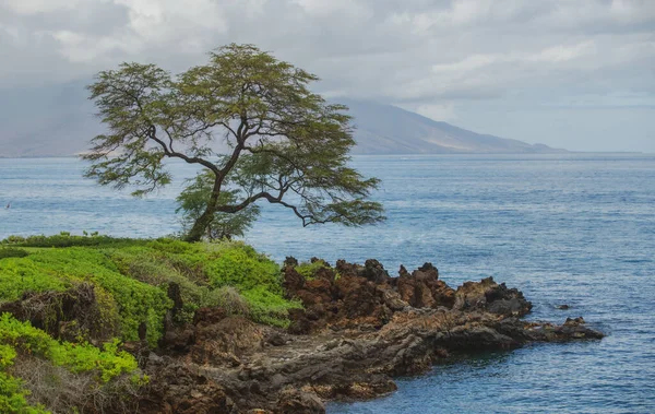 Tayland 'daki Idyllic Sahili. Tropikal mavi deniz ve kumsal arka planı.