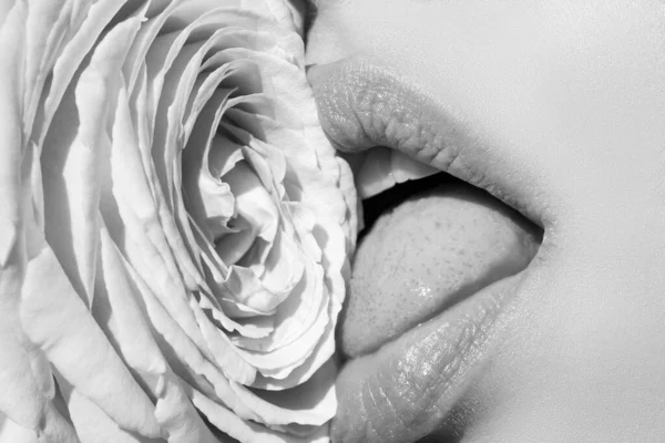 Sexy woman kissing red rose flower. Lips with lipstick closeup. Beautiful woman lips with rose. Girl blowjob with tongue, symbol.