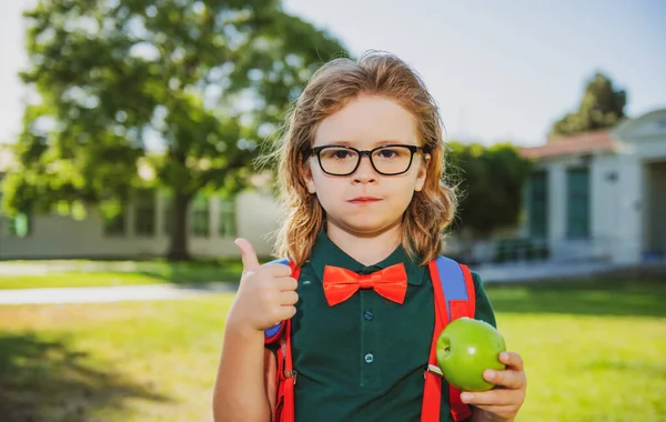 Schulkindkonzept. Netter Schüler, Kind in Schuluniform mit Rucksack im Freien. Porträt eines Nerd-Schülers. — Stockfoto