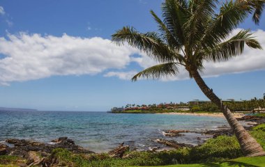 Peyzaj sükunet plajı. Hawaii arka planı, tropik Hawaii cenneti.