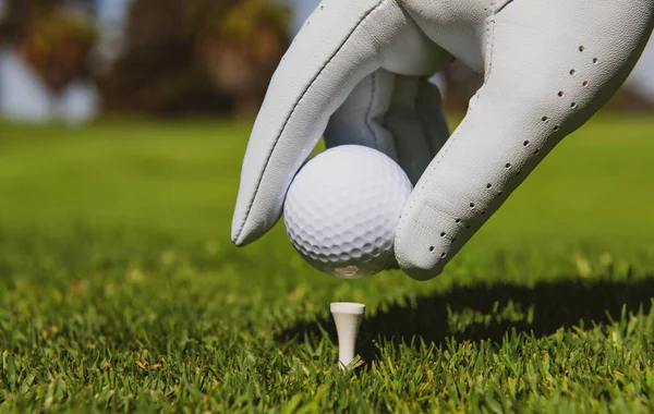 Mão colocando bola de golfe no tee no campo de golfe. Bola de golfe na grama. — Fotografia de Stock