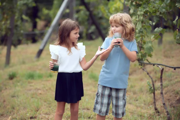 Αδελφός και αδελφή πίνουν πράσινο smoothie έξω. Αγοράκι και κορίτσι που δουλεύουν στον κήπο. Δύο χαρούμενα παιδιά στο καλοκαιρινό πάρκο. Παιδικές καλοκαιρινές διακοπές έννοια. Παιδική φιλία. — Φωτογραφία Αρχείου