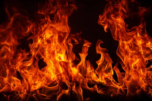 The fire, burning flame. Large burning flaming fire. — Stock Photo, Image