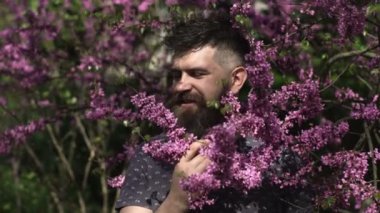 Çiçek açan çiçekli bahar sakallı adam, açık hava portresi. Bahar çiçekli sakal. Leylak kokan bir adam. Alerji, bahar alerjisi mevsimi.