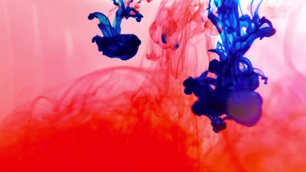 Mezcla de color. Efecto de explosión abstracto de color. El color de la pintura gira en el agua. Color líquido en el movimiento del agua. — Vídeos de Stock