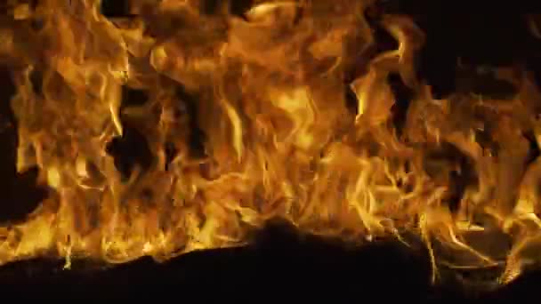 Fire flames, red and yellow, thermal energy at the fuel. Burn lights on a black background. Fire effect. — Stock Video