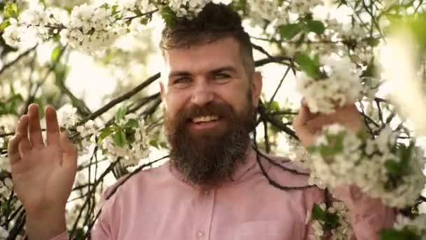Le jour du printemps. Un bel homme avec une barbe de fleurs. Barbe aux fleurs printanières. — Video