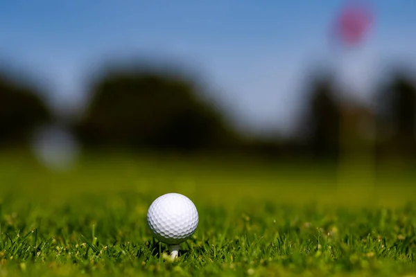 Golf ball in golf course. Golf ball is on tee on green grass background. — Stockfoto