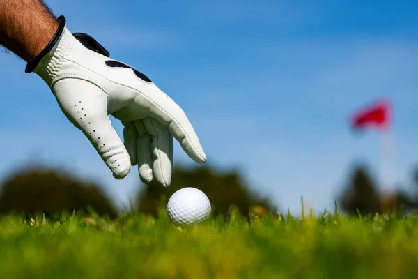 Homem de golfe com luva de golfe. Mão colocando bola de golfe no tee no campo de golfe. — Fotografia de Stock